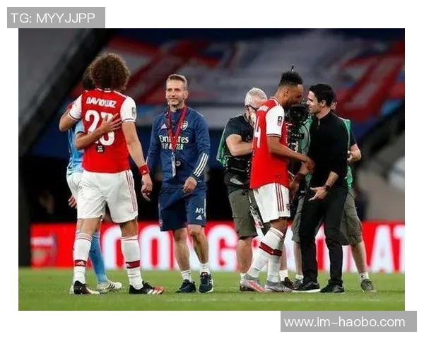 赫尔城与切尔西足总杯赛中多名球迷因歧视性口号被捕引发关注